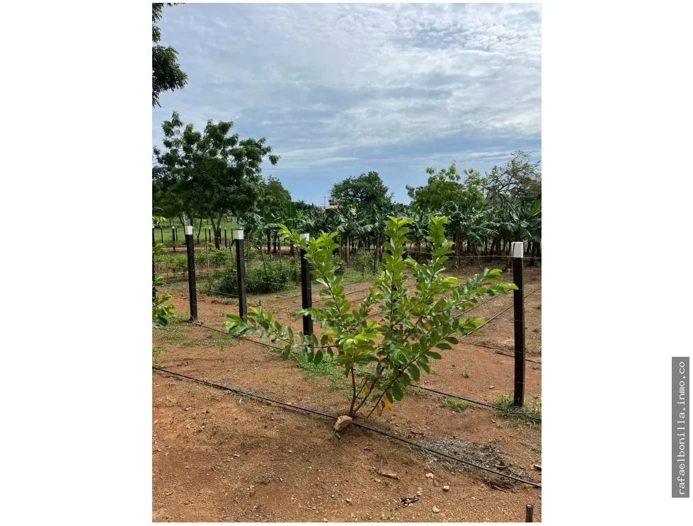 Land Sale in Chitré