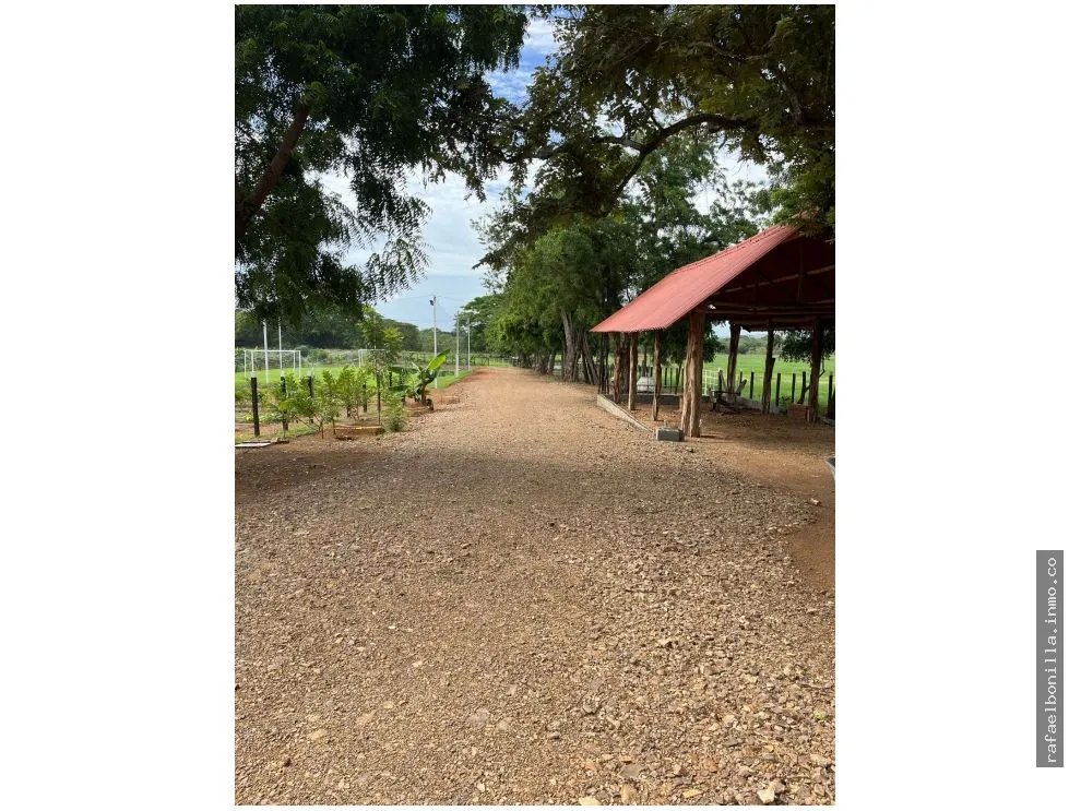 Land Sale in Chitré