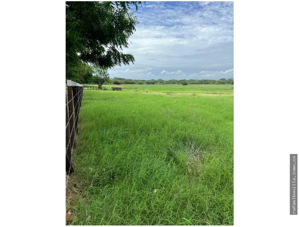 Land Sale in Chitré