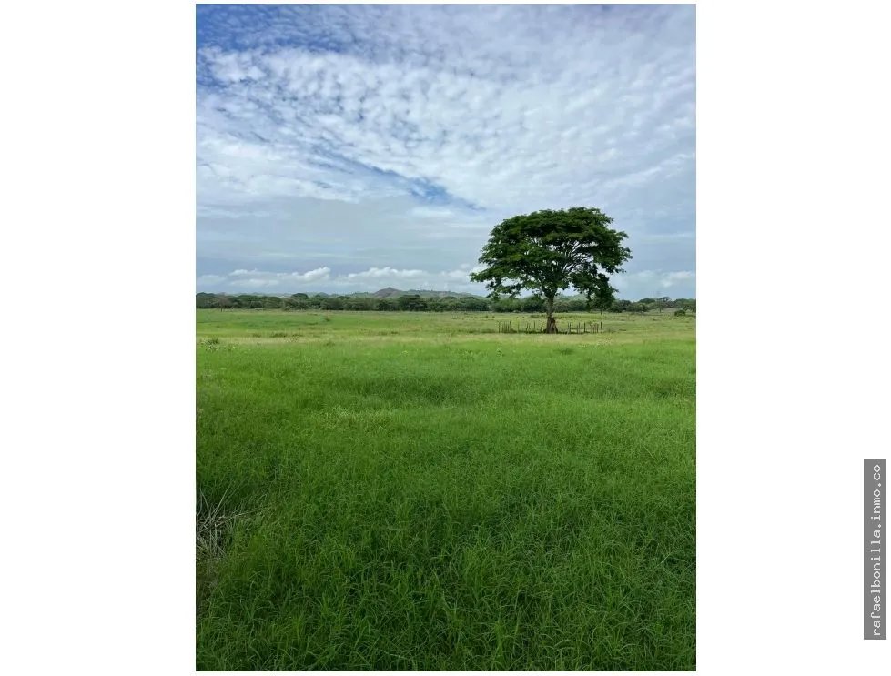 Land Sale in Chitré