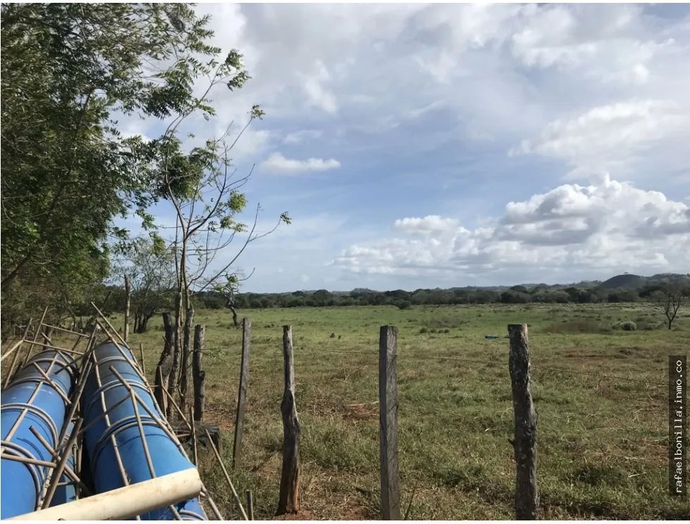 Land Sale in Chitré