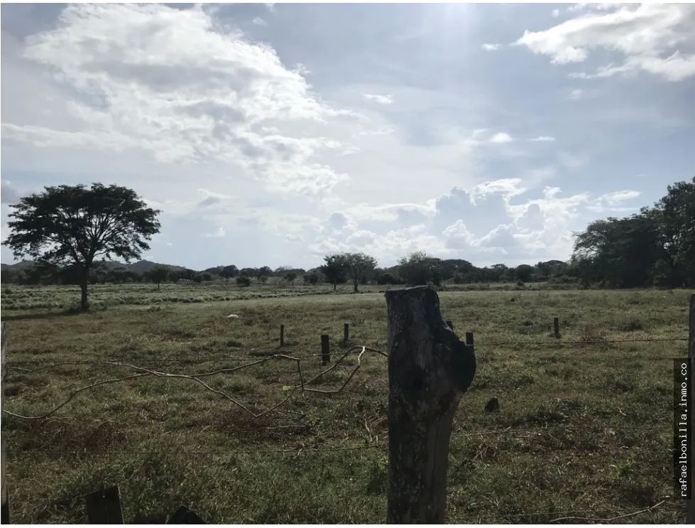 Land Sale in Chitré