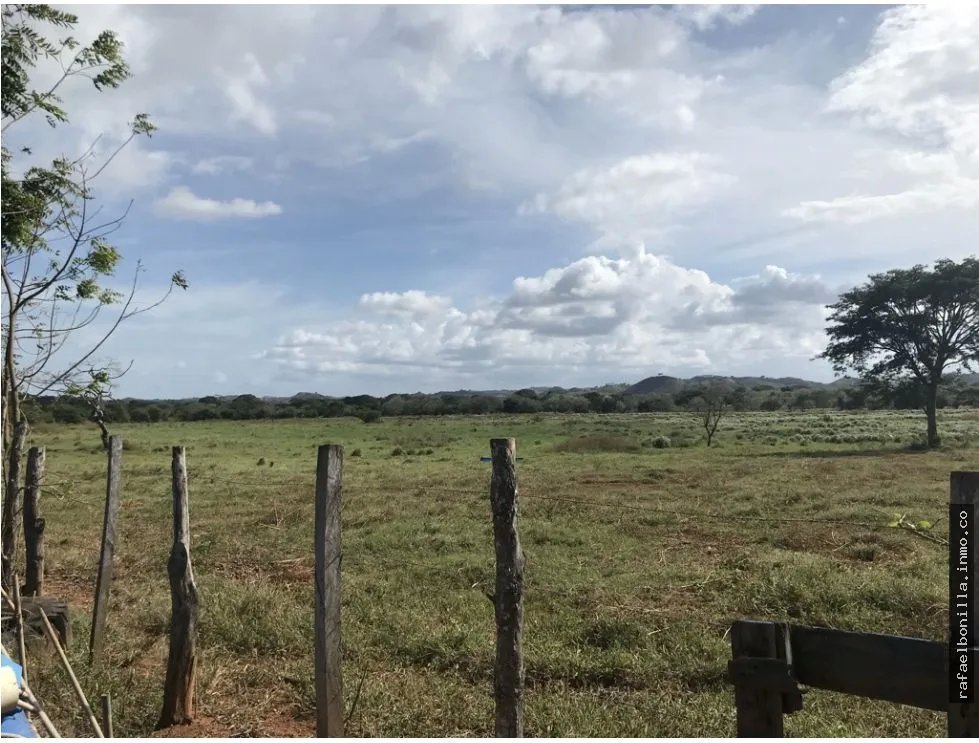 Land Sale in Chitré