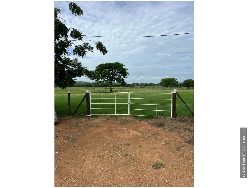 Land Sale in Chitré