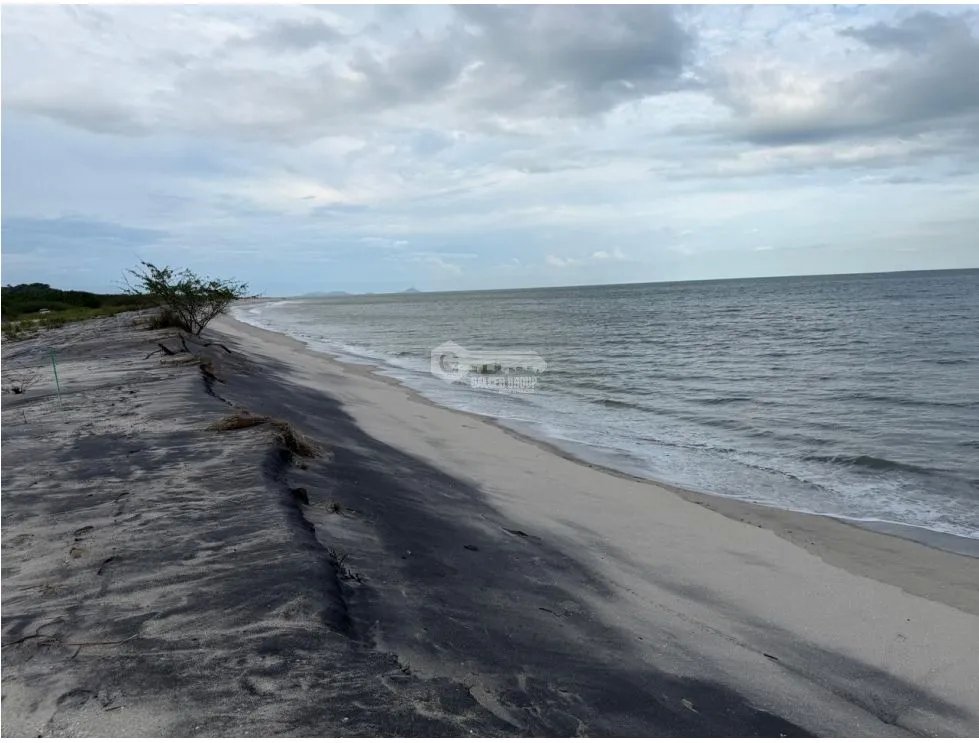 SE VENDE LOTE EN GORGONA PLAYA MALIBÚ 1200 M FRENTE AL MAR