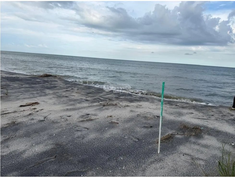 SE VENDE LOTE EN GORGONA PLAYA MALIBÚ 1200 M FRENTE AL MAR