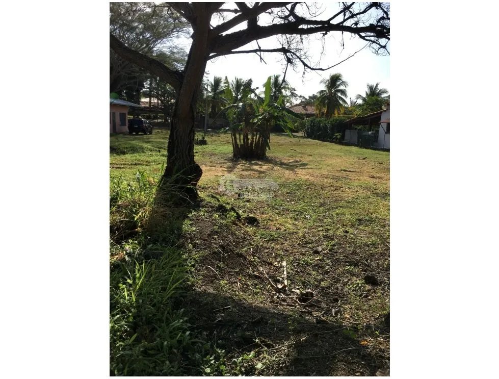 LAND / CORONADO / 800 M2 / RESIDENTIAL AREA / FLAT LOT
