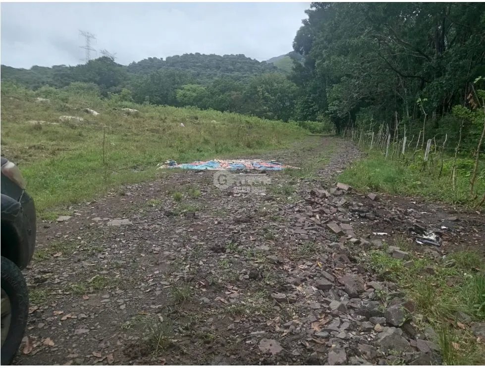 LAND FOR SALE - 3 HECTARES IN EL ESPAVE SURROUNDED BY NATURE