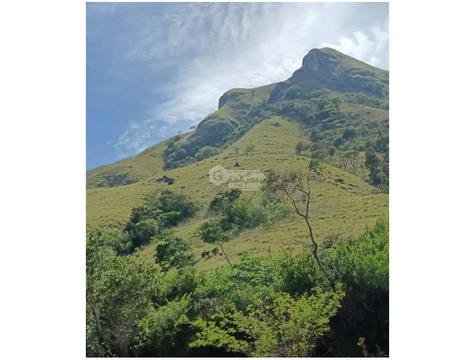 CHAME / EL ESPAVE / 3 HECTARES / SPACIOUS LAND / GREEN AREAS