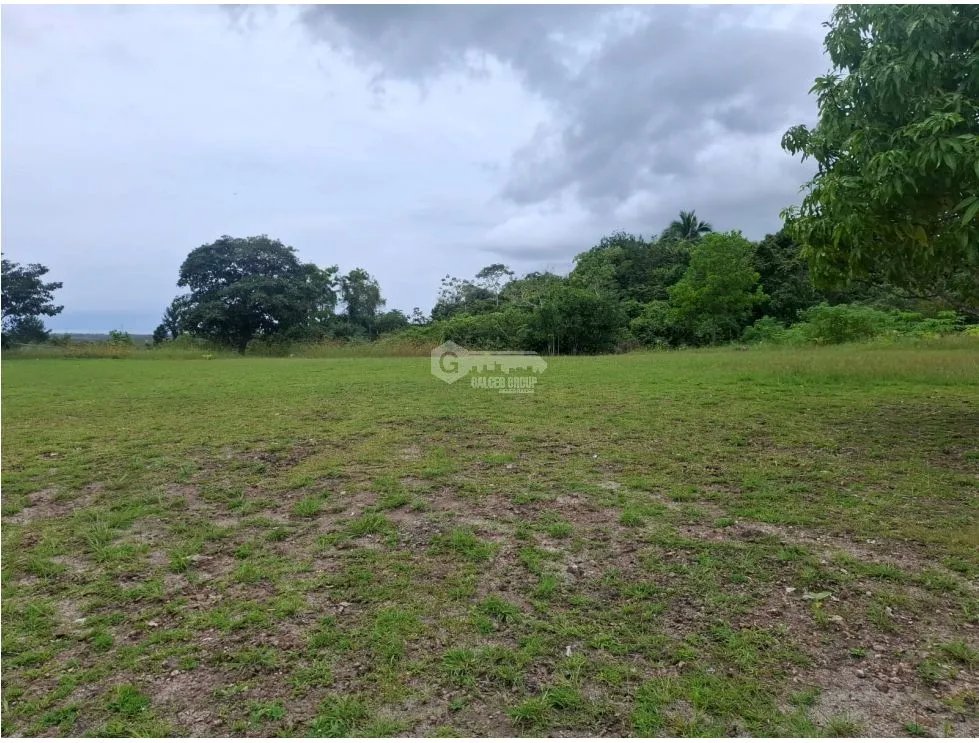 SPACIOUS 3.29 HECTARE LAND FOR SALE IN RIO HATO LAS LOMAS