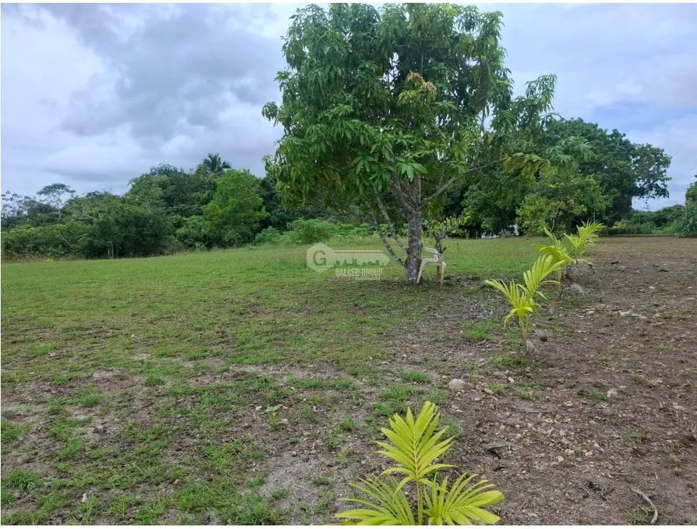 COCLE / RIO HATO / LAS LOMAS / 3.29 HECTARES / EXPANSIVE LAND