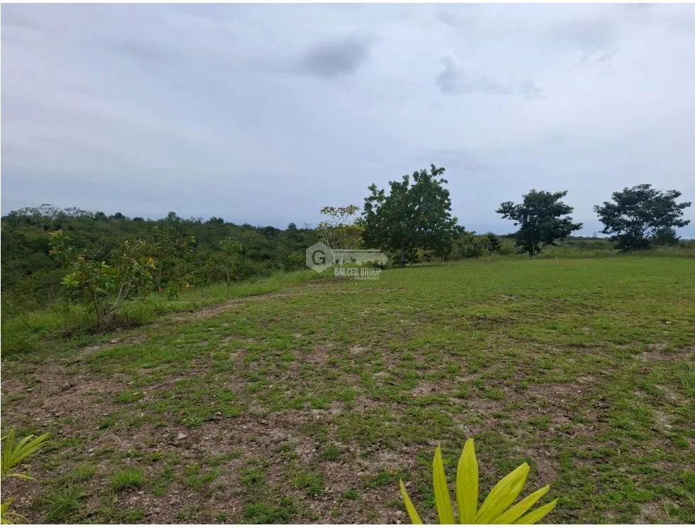 COCLE / RIO HATO / LAS LOMAS / 3.29 HECTARES / EXPANSIVE LAND