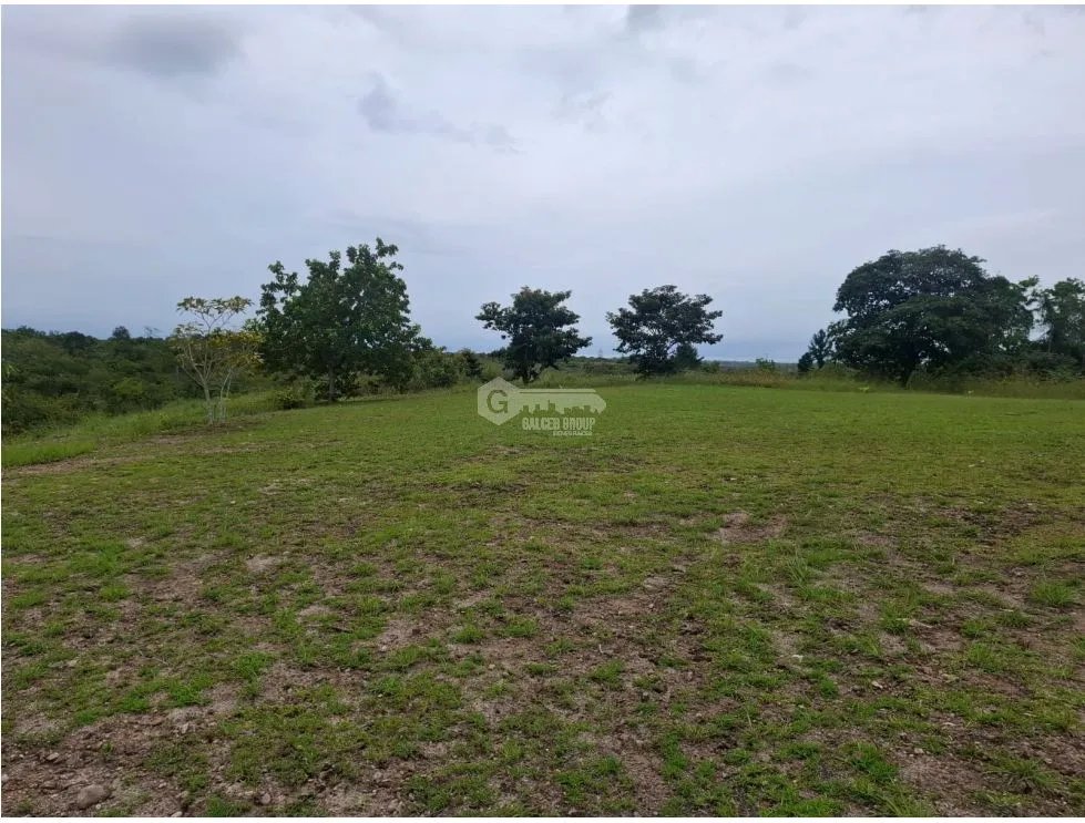 COCLE / RIO HATO / LAS LOMAS / 3.29 HECTARES / SPACIOUS LAND