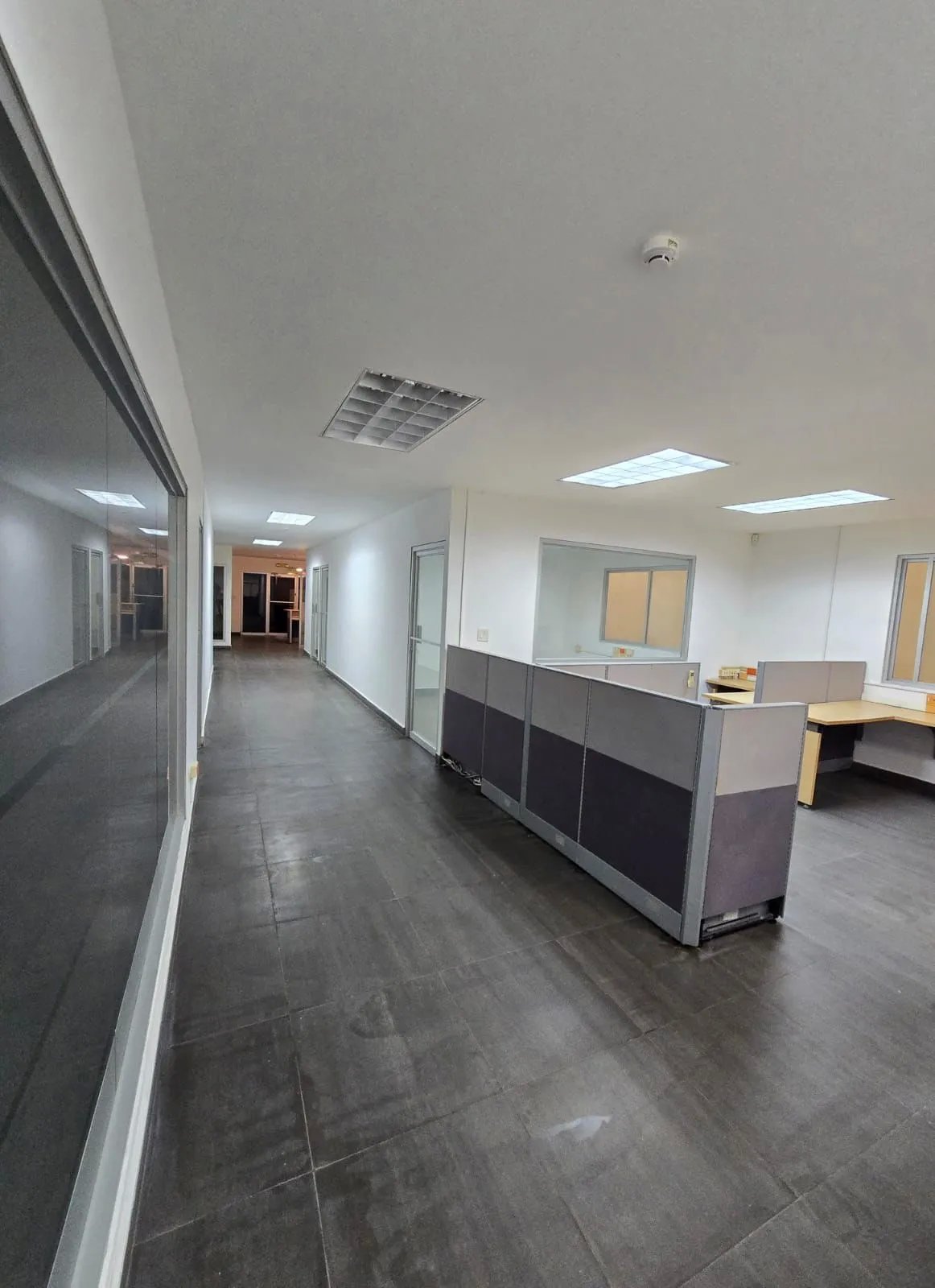 Bodega Industrial en Venta – Centro Logístico Transístmica, Milla 8