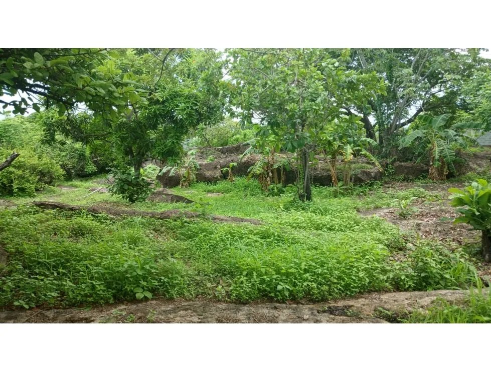Venta de terreno en Nueva Gorgona, Chame