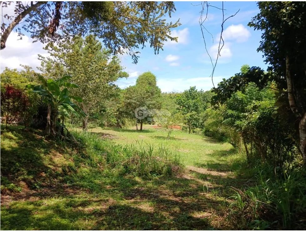 LAND FOR SALE 4,300 M2 IN SAN CARLOS EL COPECITO WITH GREEN AREAS