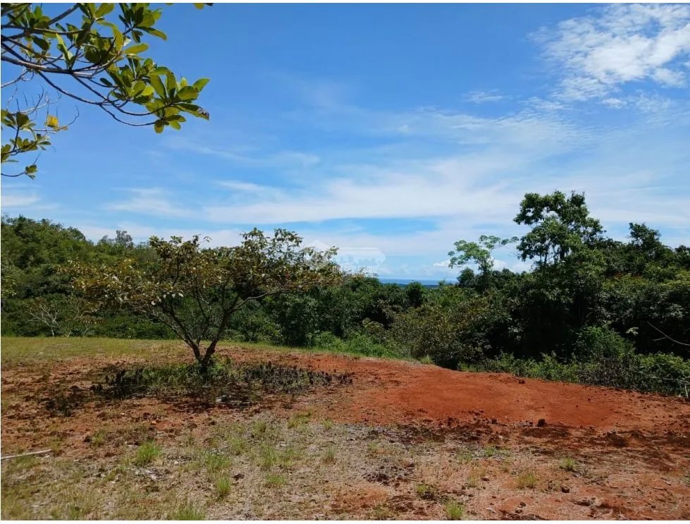 SAN CARLOS / EL COPECITO / 4300 M2 / LAND / PANORAMIC VIEWS