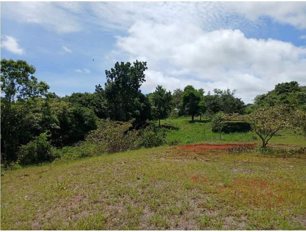 SAN CARLOS / EL COPECITO / 4300 M2 / LAND / PANORAMIC VIEWS