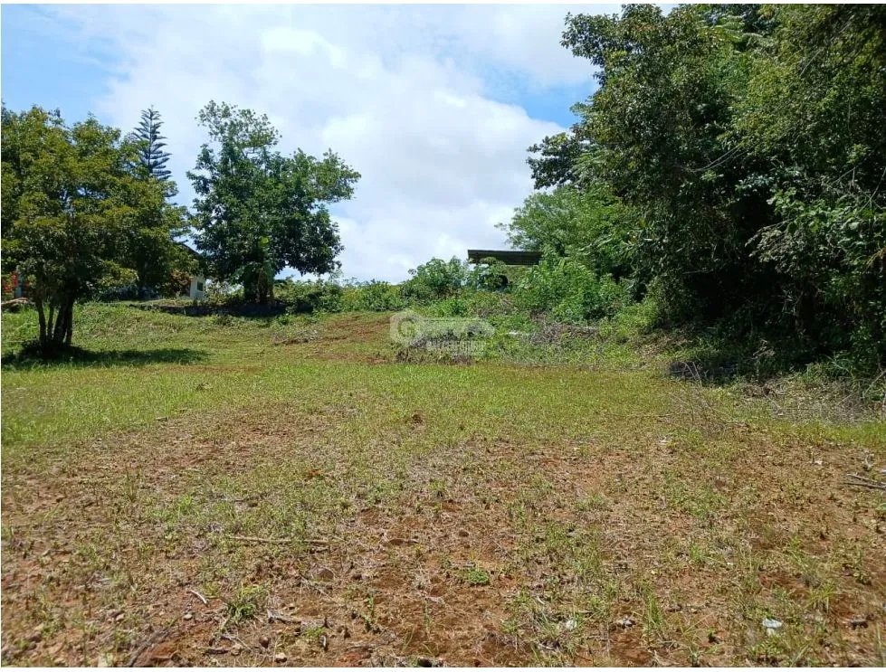 SAN CARLOS / EL COPECITO / 4300 M2 / LAND / PANORAMIC VIEWS