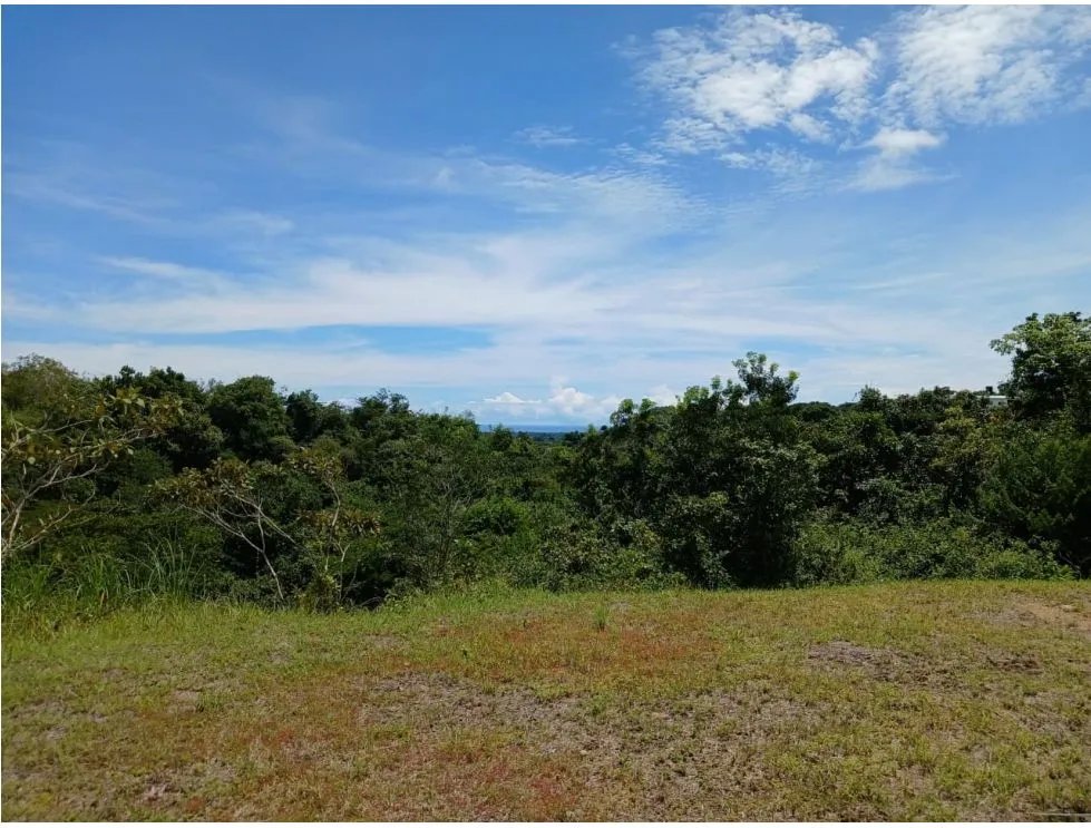 SAN CARLOS / EL COPECITO / 4300 M2 / LAND / PANORAMIC VIEWS