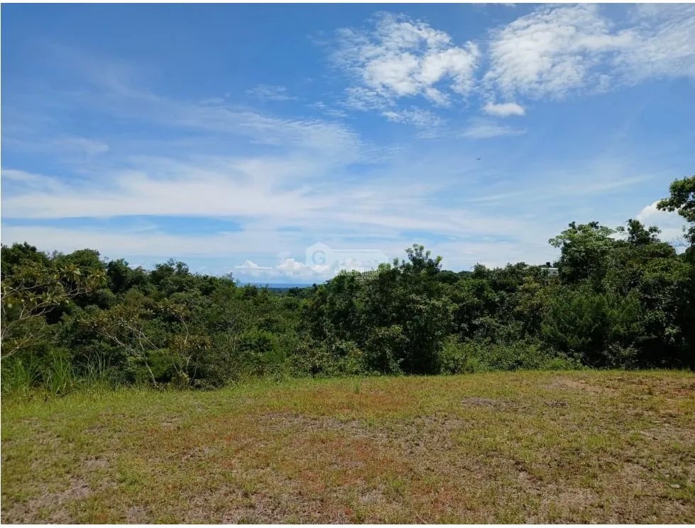 SAN CARLOS / EL COPECITO / 4300 M2 / LAND / PANORAMIC VIEWS