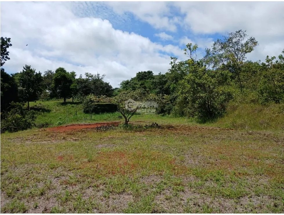SAN CARLOS / EL COPECITO / 4300 M2 / LAND / PANORAMIC VIEWS