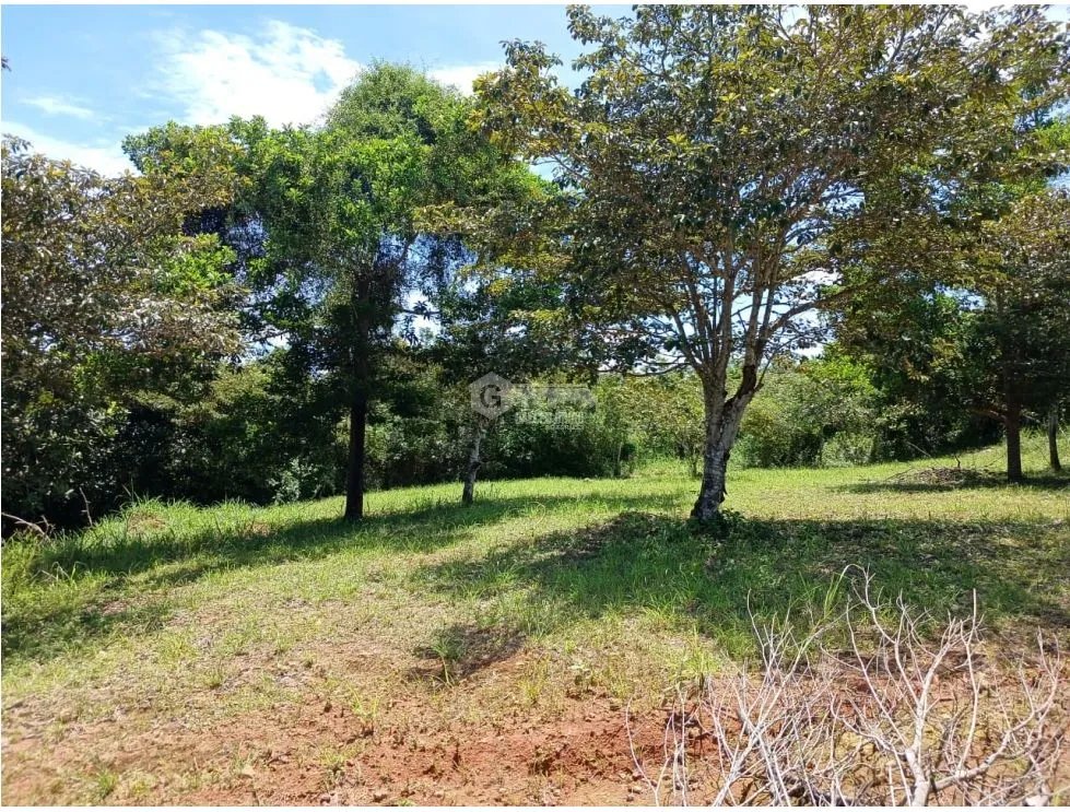 SAN CARLOS / EL COPECITO / 4300 M2 / LAND / PANORAMIC VIEWS