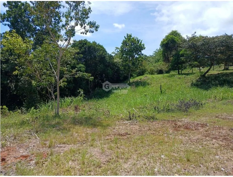 SAN CARLOS / EL COPECITO / 4300 M2 / LAND / PANORAMIC VIEWS