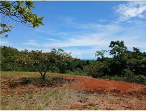 SAN CARLOS / EL COPECITO / 4300 M2 / LAND / PANORAMIC VIEWS