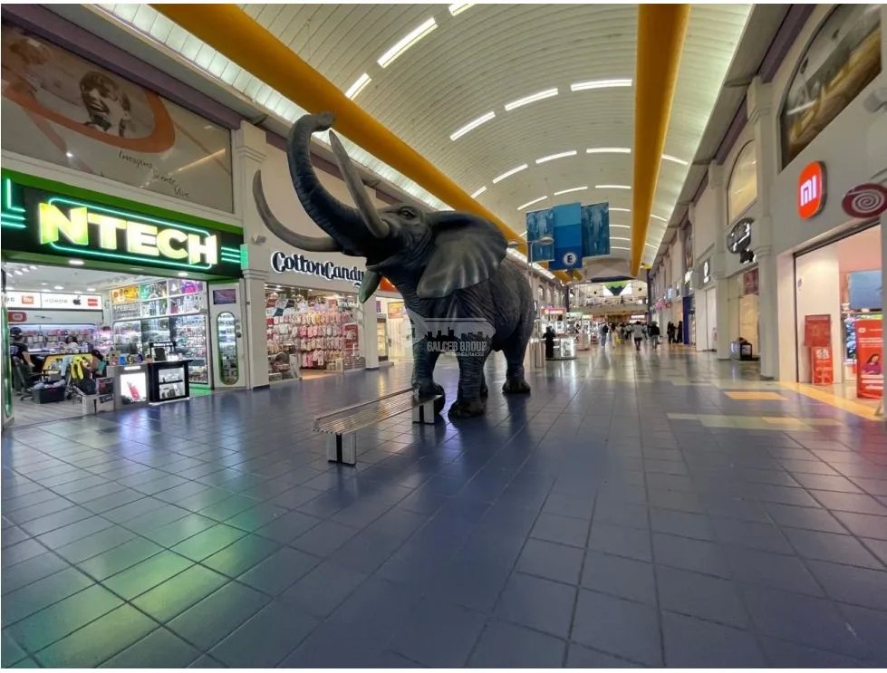 Commercial Space for Rent at Albrook Mall - 35M Ground Floor