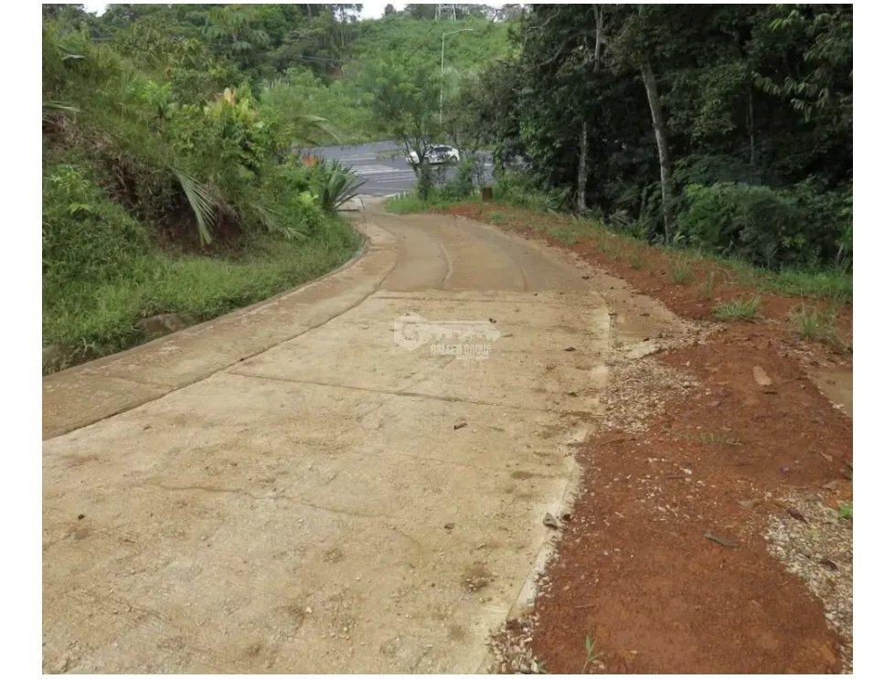 FARM FOR SALE IN COLON SABANITAS 109790M ON MAIN ROAD