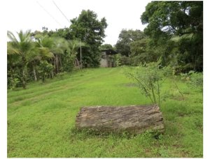 FARM FOR SALE IN COLON SABANITAS 109790M ON MAIN ROAD