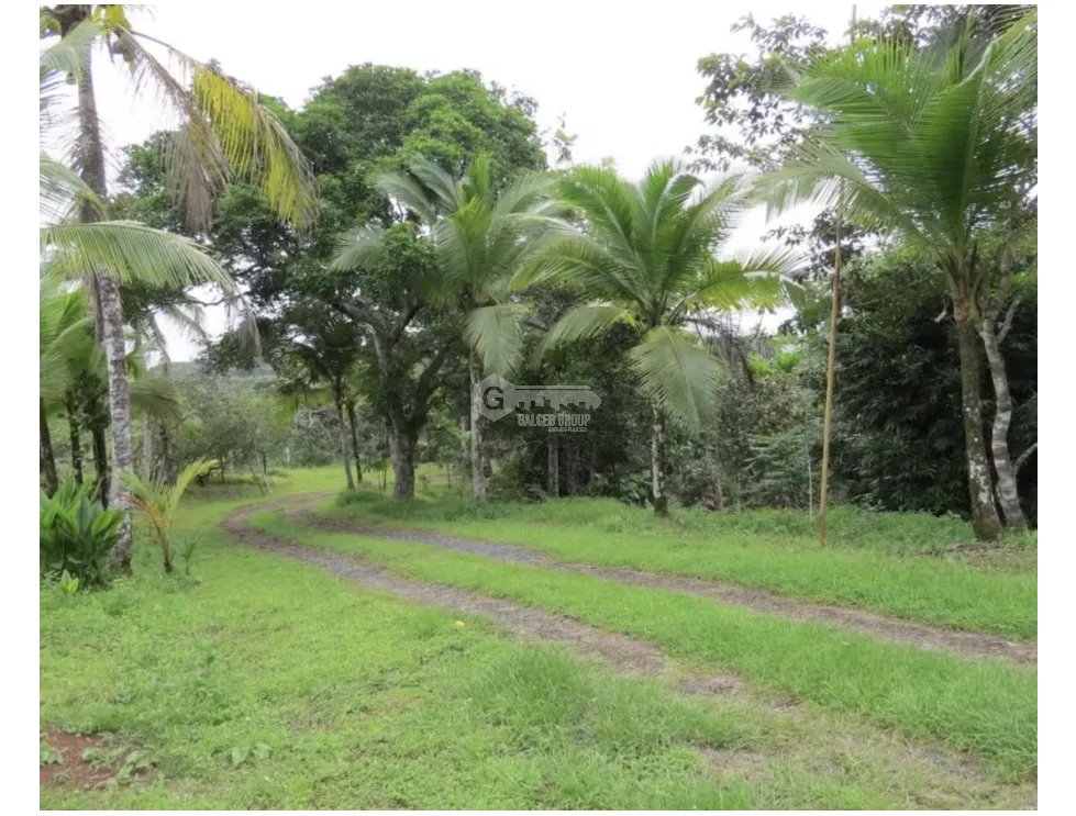 COLON / SABANITAS / 109790M / COUNTRY ESTATE / MAIN ROAD