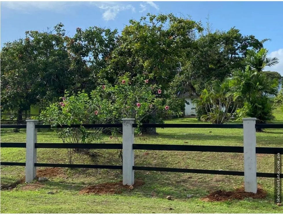 LAND SALE WITH CABIN IN LOS NANCES DE PRADERA DE UTIVE