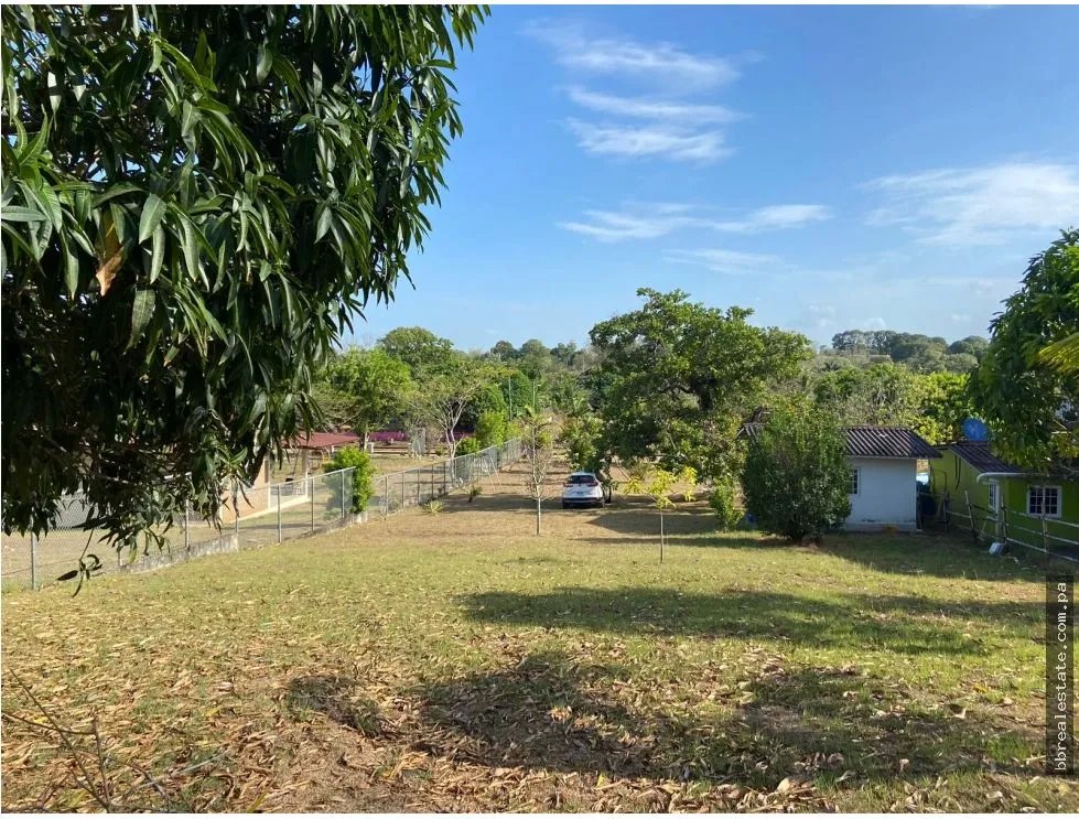 LAND SALE WITH CABIN IN LOS NANCES DE PRADERA DE UTIVE