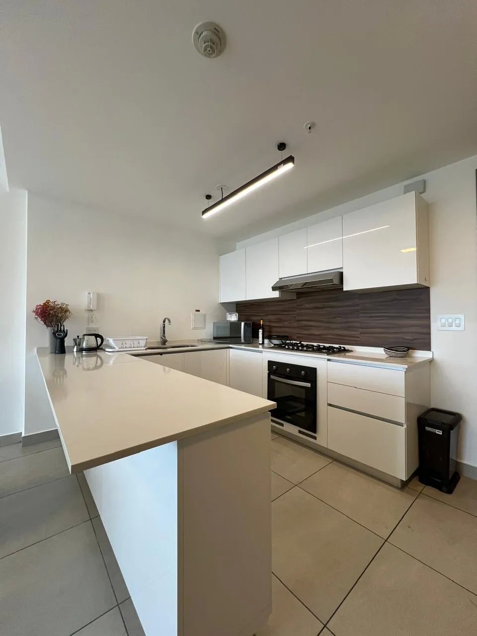 Furnished Apartment Rental in El Cangrejo, PH Van Gogh