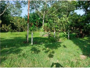 CHAME / LAS LAJAS / 1800 M2 / AMPLIO TERRENO / SOBRE VIA ASFALTADA
