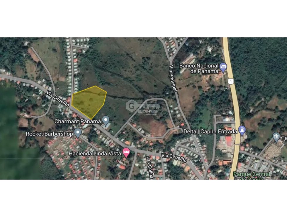 CAPIRA / EL CIRUELITO / 2.7 HECTARES / EXPANSIVE LAND / GREEN AREAS