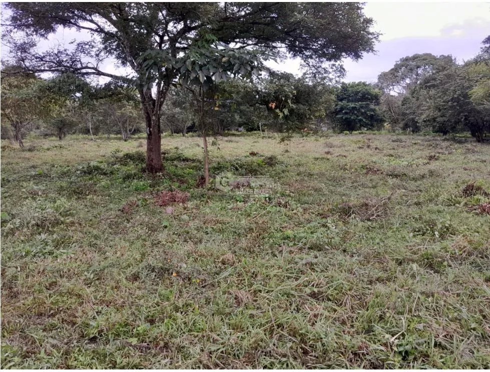 CAPIRA / EL CIRUELITO / 2.7 HECTARES / EXPANSIVE LAND / GREEN AREAS