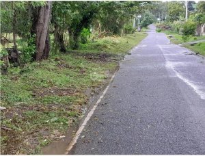 CAPIRA / EL CIRUELITO / 2.7 HECTARES / EXPANSIVE LAND / GREE…