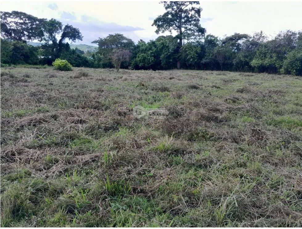 CAPIRA / EL CIRUELITO / 2.7 HECTAREAS / TERRENO AMPLIO / ZONAS VERDES