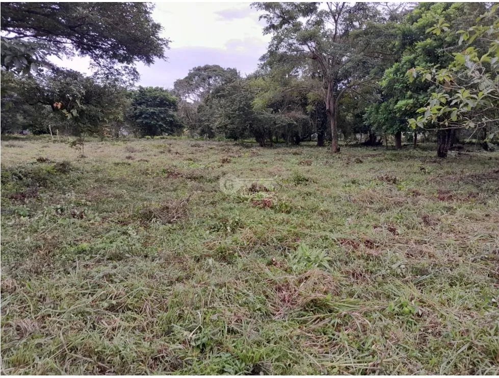 CAPIRA / EL CIRUELITO / 2.7 HECTAREAS / TERRENO AMPLIO / ZONAS VERDES