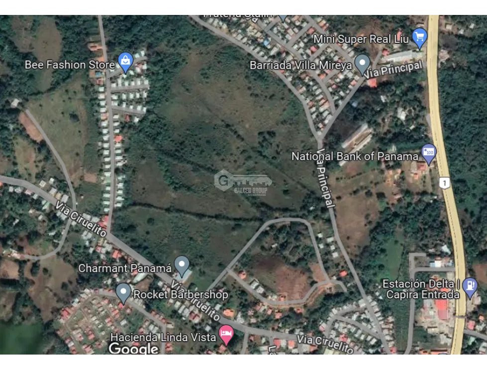 CAPIRA / EL CIRUELITO / 2.7 HECTAREAS / TERRENO AMPLIO / ZONAS VERDES