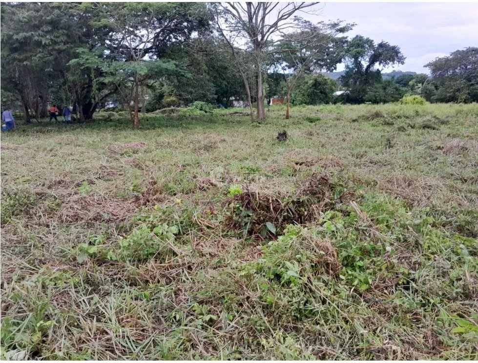CAPIRA / EL CIRUELITO / 2.7 HECTAREAS / TERRENO AMPLIO / ZONAS VERDES