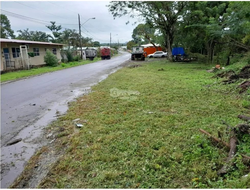 CAPIRA / EL CIRUELITO / 2.7 HECTAREAS / TERRENO AMPLIO / ZONAS VERDES
