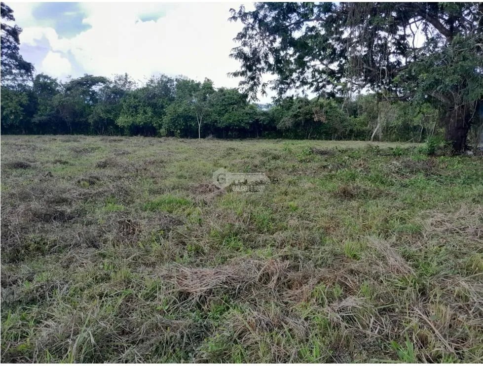 CAPIRA / EL CIRUELITO / 2.7 HECTAREAS / TERRENO AMPLIO / ZONAS VERDES