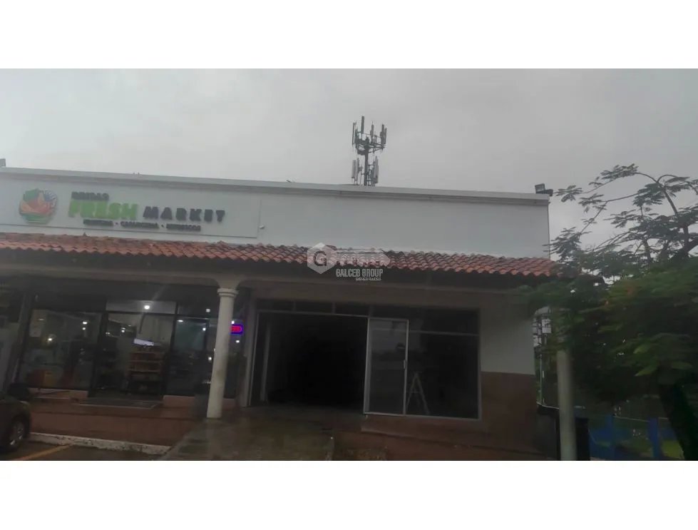 LOCAL COMERCIAL / BRISAS DEL GOLF / 175M / 2 BAÑOS / PLANTA BAJA