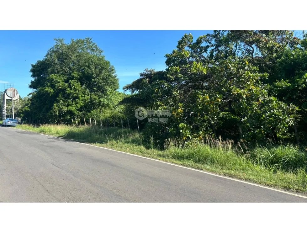 SE VENDE AMPLIO TERRENO EN COCLE NATA 1.54 HECTAREAS VIA ASFALTADA
