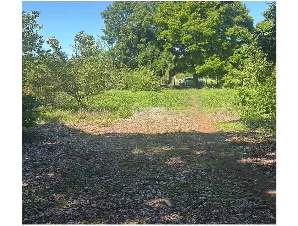 SE VENDE AMPLIO TERRENO EN COCLE NATA 1.54 HECTAREAS VIA ASFALTADA