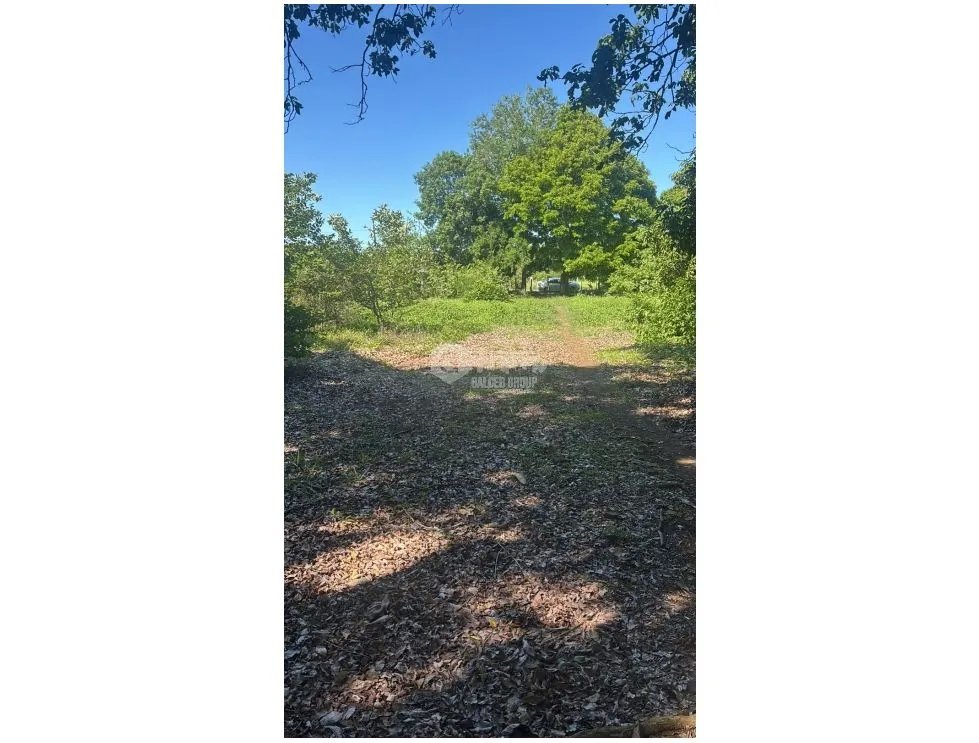 SE VENDE AMPLIO TERRENO EN COCLE NATA 1.54 HECTAREAS VIA ASFALTADA